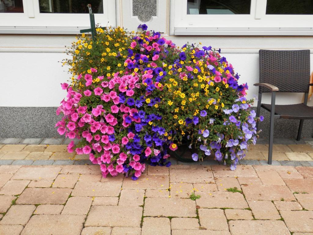 Haus Seebach Berwang Bagian luar foto